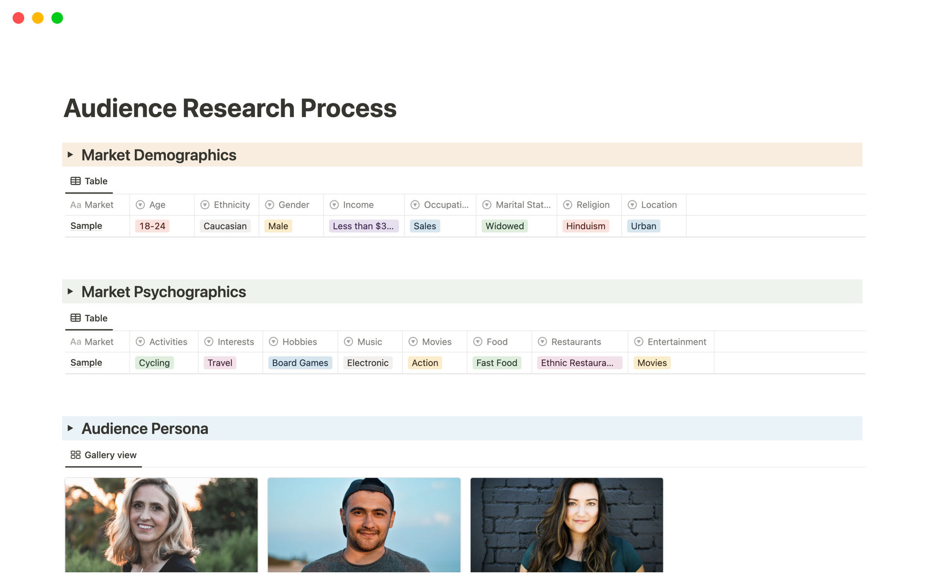 A template preview for Audience Research Process